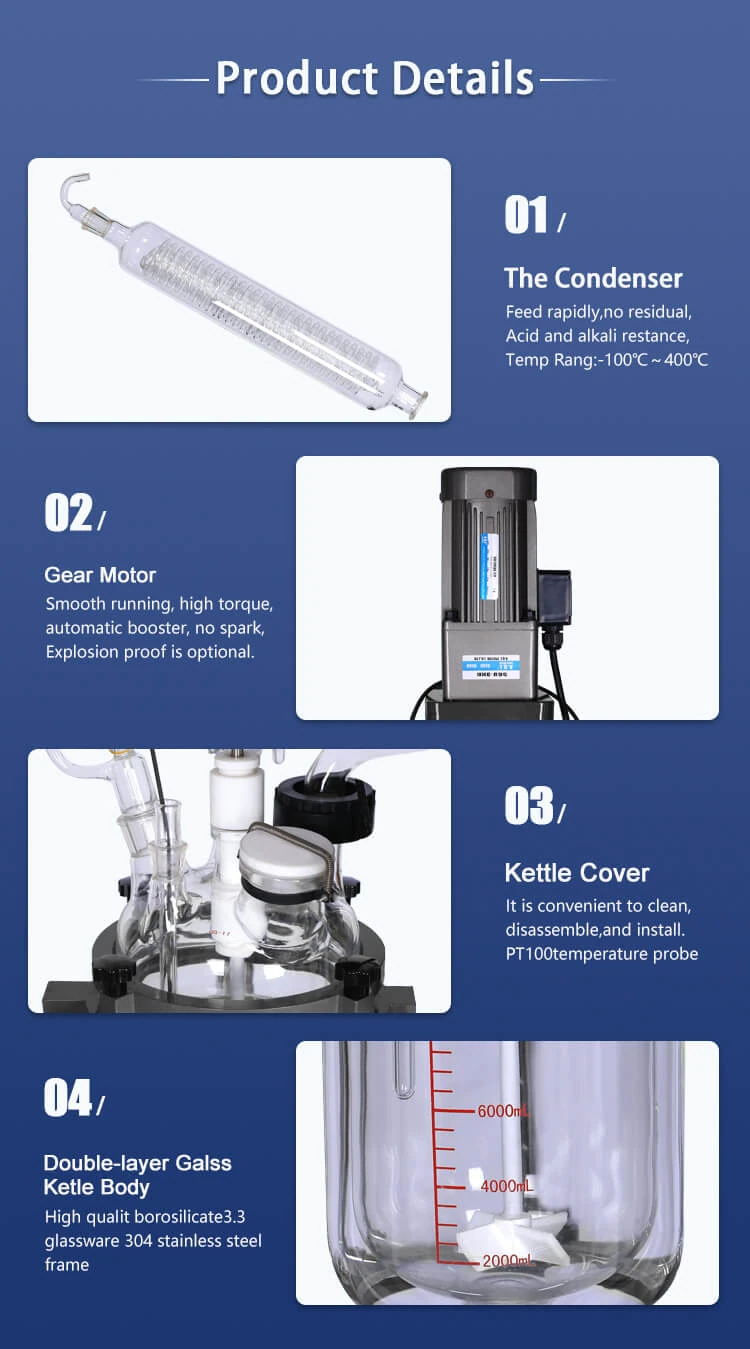 10 Glass Jacketed Reactor Detail