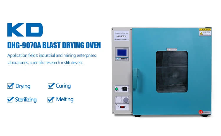 Electric Heating Blast Drying Oven