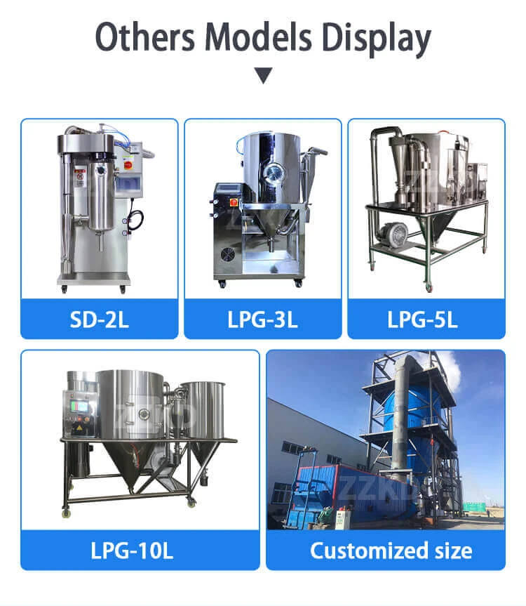 The Development of a New Pharmaceutical Product